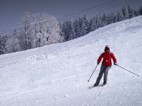 Ski Zles - Javornk