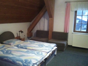 Penzion Adam - Vrbno pod Pradědem, Vidly