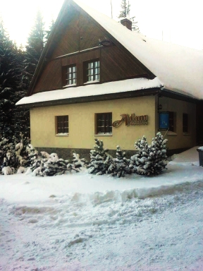 Penzion Adam - Vrbno pod Pradědem, Vidly