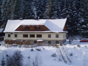 Penzion Adam - Vrbno pod Pradědem, Vidly