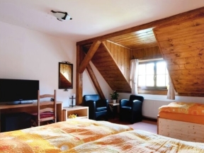 Hotel Holzberg - Suchá Rudná