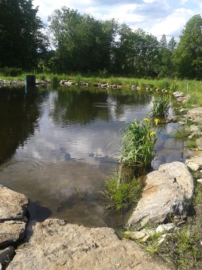 Penzion U Bořka - Bělá pod Pradědem, Domašov
