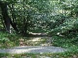 Schody na konci lesn kov cesty v Travn