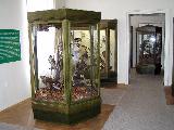 Vlastivdn muzeum v umperku - proda Jesenicka