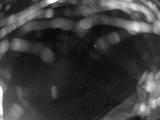 webkamera Karlova Stud�nka