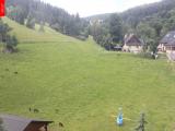 Ostru�n�