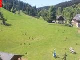 Ostru�n�