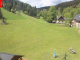 Ostru�n�