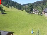 webkamera Ostru�n�