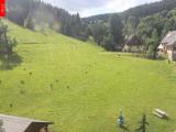 webkamera Ostru�n�